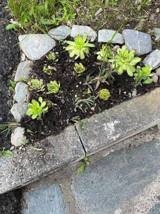 La Casetta Delle Nuvole Mazzo di Valtellina Esterno foto